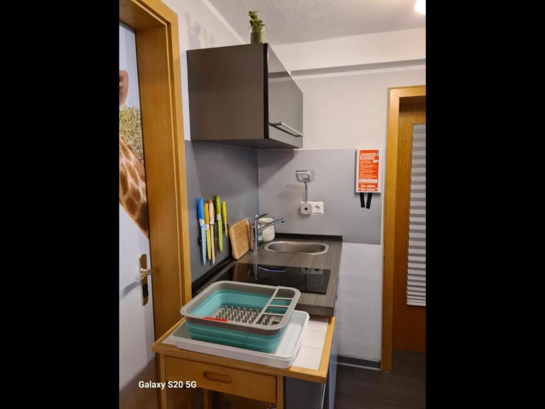 Neu! Ferienwohnung Eulennest Staudernheim エクステリア 写真